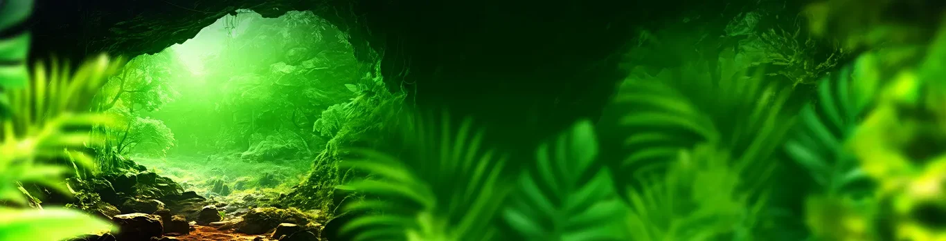 Background images