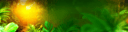 Background images
