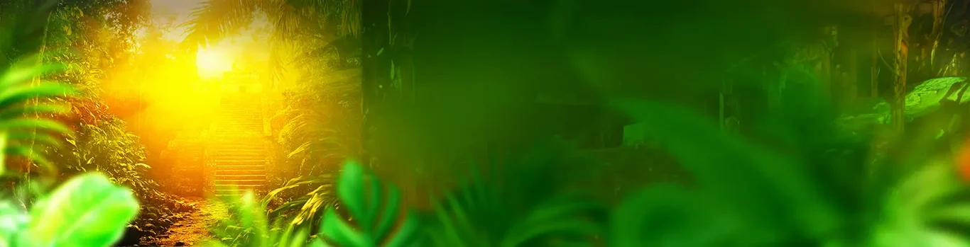 Background images